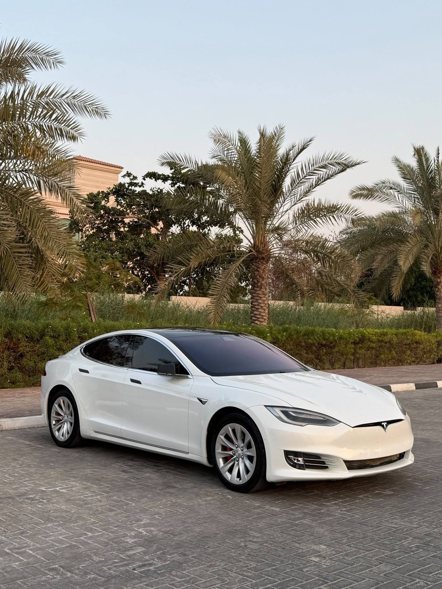 تيسلا Y موديل2020 GCC